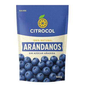 Arándanos congelados